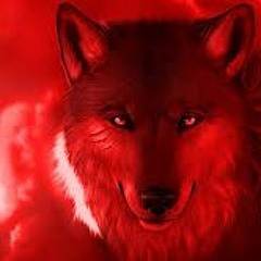 ALPHA WOLF SONGS (5)