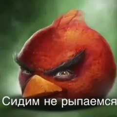 птичий реп