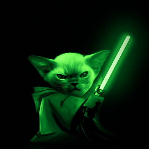 Котик джедай