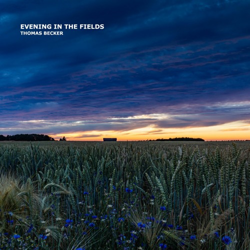Evening In The Fields