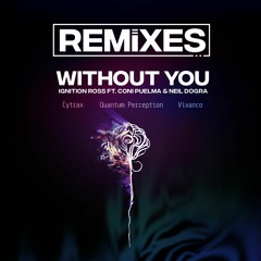 Ignition Ross - Without You ft. Neil Dogra & Coni Puelma (Quantum Perception Remix)