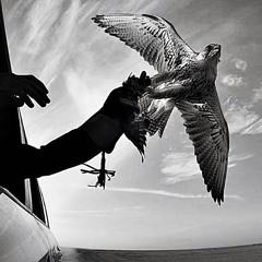 تماديت بغلاه ومن تمادى بالغلا خسران