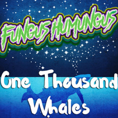 One Thousand Whales