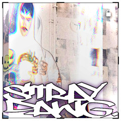Stray Dawg (Prod. by HOODPROUDS)