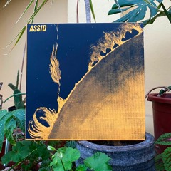 NB007 - ASSID - Connaissance des Lois Cosmiques LP