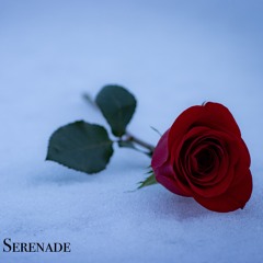 Serenade (Official Audio)[Prod. By FredoeBeatz]