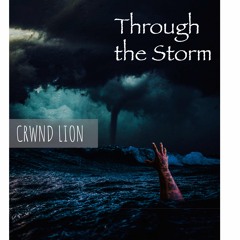 Through the Storm