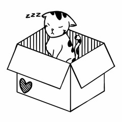 A Place Where It Feels Safe