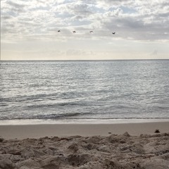 Home