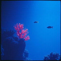 Fathoms below (Remix)