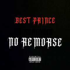 BEST PRINCE - NO REMORSE