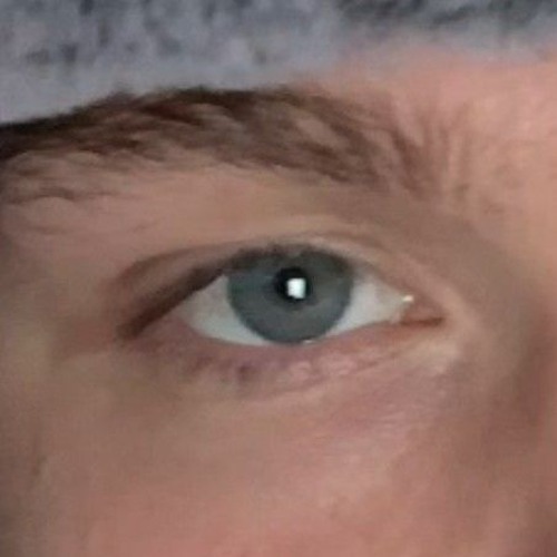 xyzbermuda-Shit Face