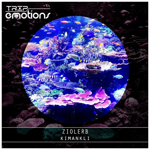 ZIOLERB - Kimankli