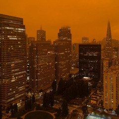 Orange Sky - ZYN