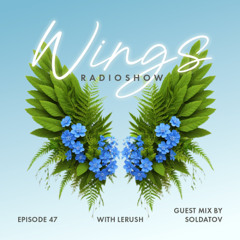 Wings Radioshow | Episode 47 | Soldatov