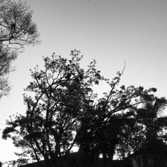 When Autumn Falls
