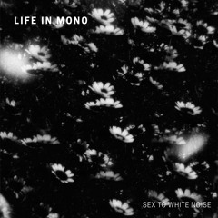 Sex To White Noise