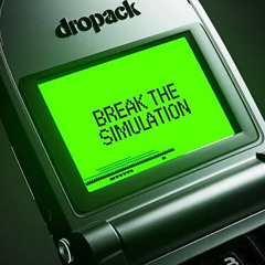 Break The Simulation