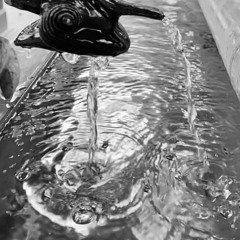 Drop