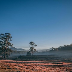 Dungeons And Dragons