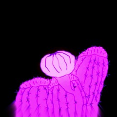 chancho en piedra - lophophora (slowed n' boosted)