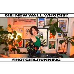 012 // new wall, who dis?