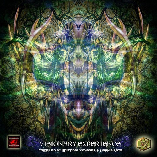 Shamanic Theory   -   Revenge Of Primes  B 155   VISIONARY EXPERIENCE - VA