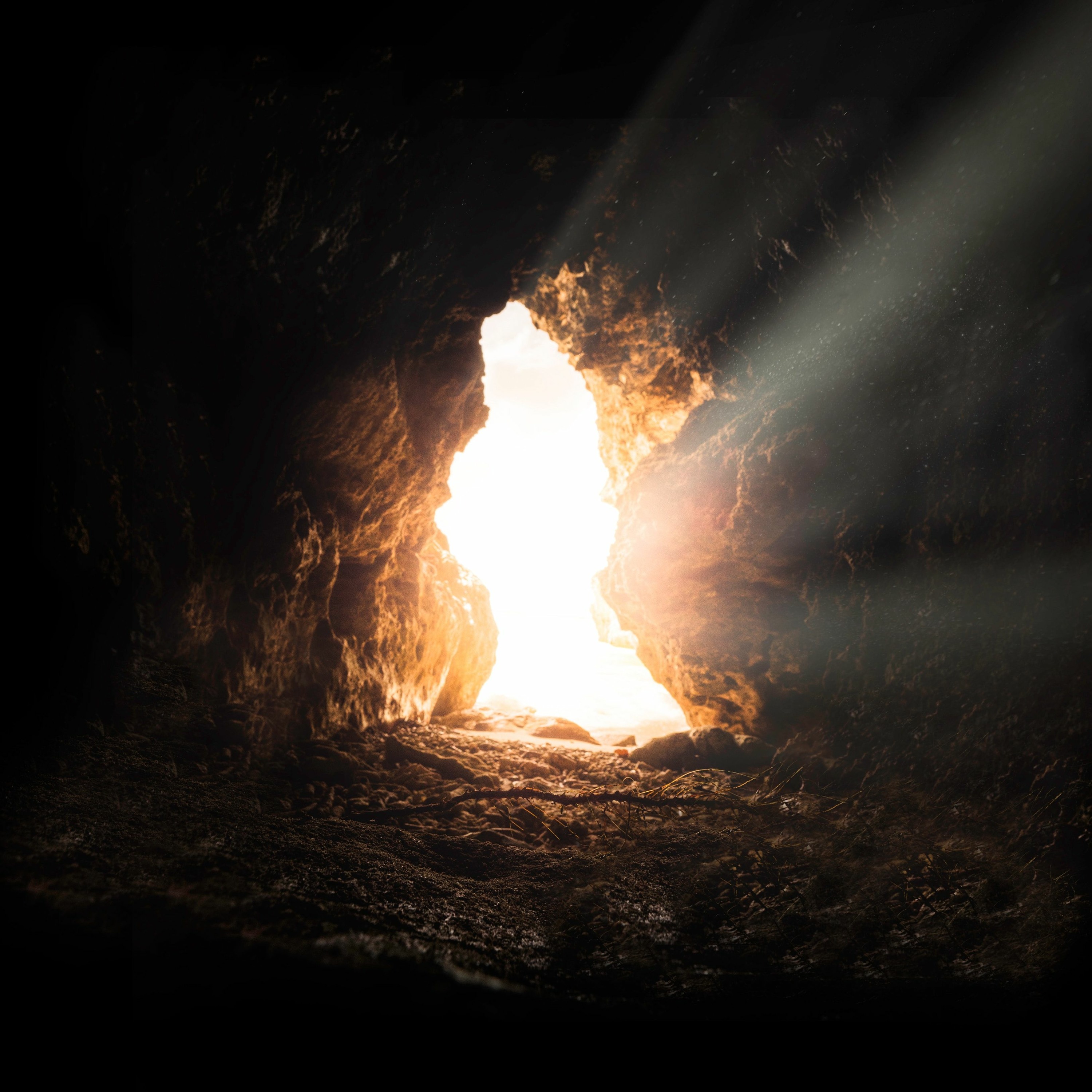Enter The Cave (1)
