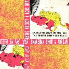 Snakeman Show & Adrian Sherwood - In The '90s (Good Block Edit)