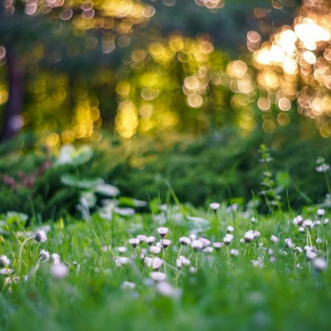 Stream Alfred Newman Mockup Jazz Background Music DOWNLOAD By 40 000 stream-alfred-newman-mockup-jazz-background-music-download-by-40-000