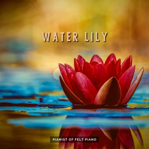 Stream Lunch Break by Pianist of Felt Piano | Listen online for free on ...