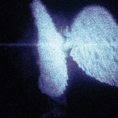 White Wings
