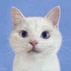 정지소 - 놀뭐 노래모음.mp3