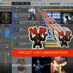 Projet 1454 UnknowProd M.R. Feat. Domo Genesis 90 BPM MAST. L.P V2 Auda.