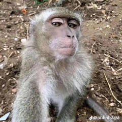 -𝐃𝐚̂́𝐮 𝐘𝐞̂𝐮-𝐓𝐇 𝐑𝐞𝐦𝐢𝐱