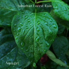 Suburban Forest Rain 1