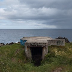 Bunker - Ainsi vont les mouettes