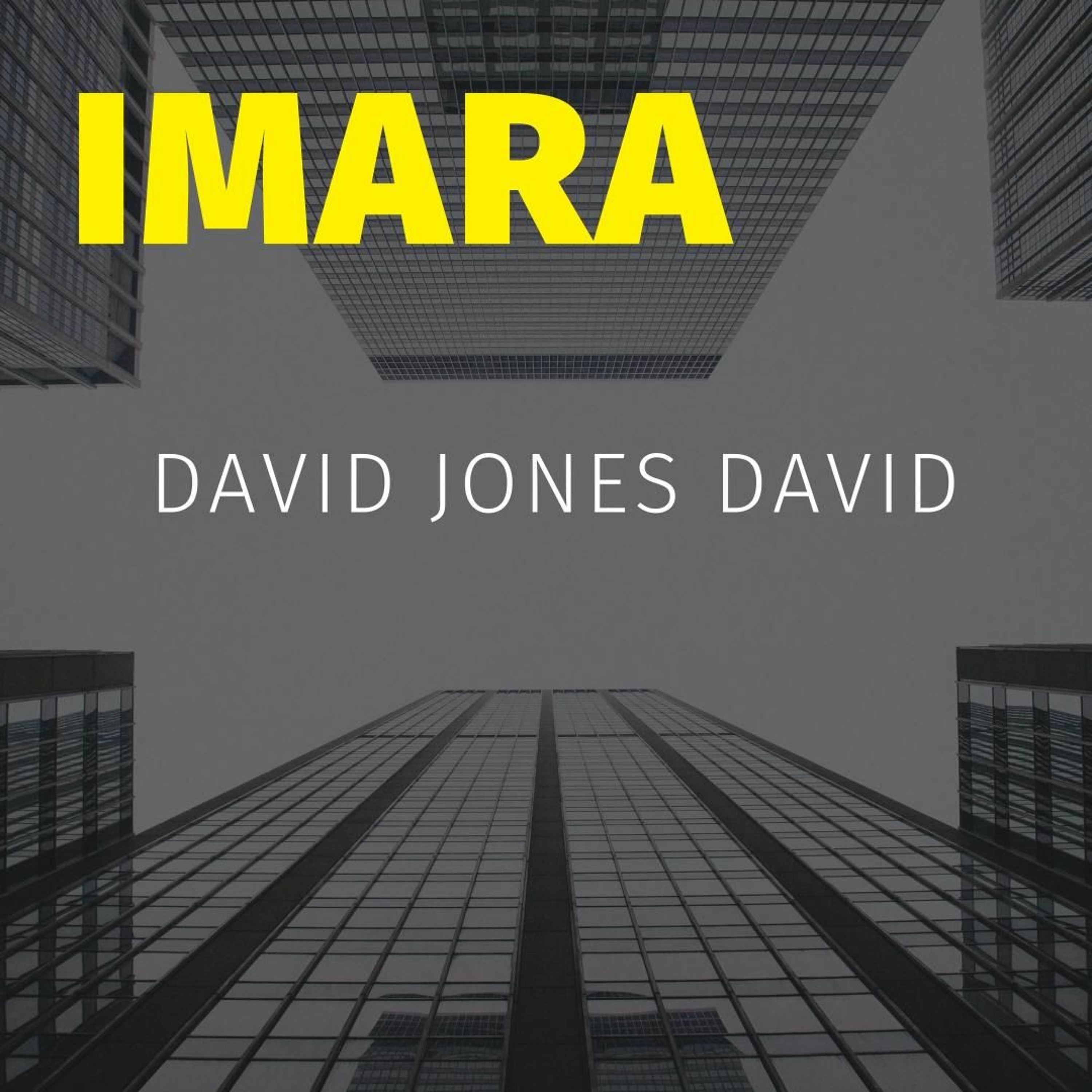 DAVID JONES DAVID (djd)