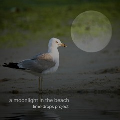 A Moonlight In The Beach