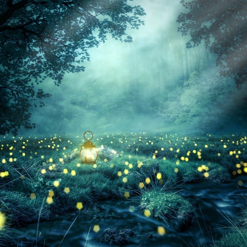 Forest Lights