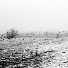 Girl from the North Country - (Bob Dylan Cover)