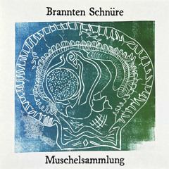 Die Grüne Scharfe Seehundshaut