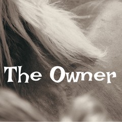 The Owner