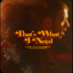 That's What I Need (feat. Mabreezee & Karmasound)