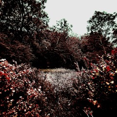 Isle of the Dead Ft Phatboionyxx