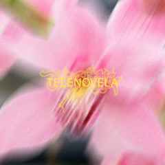 Isabella Lovestory - TELENOVELA (dieglitter dreamix)