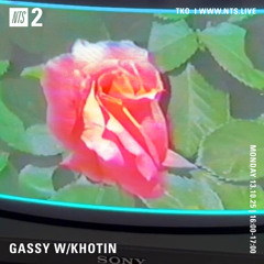 Gassy W_ Khotin