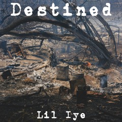 Destined (Prod by. Pendo46)