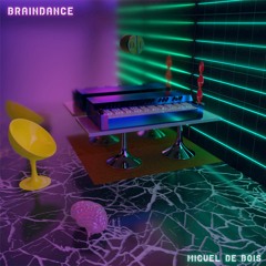Miguel De Bois - Disco Demolition