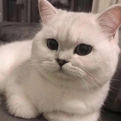 New private playlist